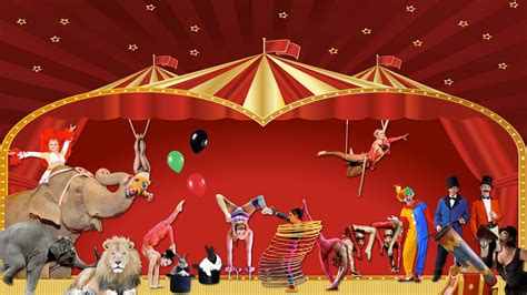 Where to go see a circus in the Capital Region